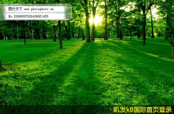 家庭辦公室網(wǎng)絡(luò)布線的建議
