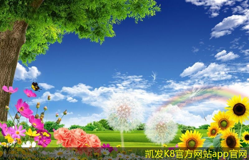 家庭安防監(jiān)控的最佳實(shí)踐