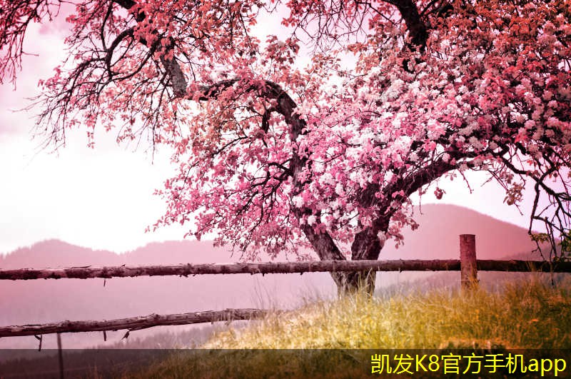家庭無(wú)線WIFI網(wǎng)絡(luò)的安全設(shè)置