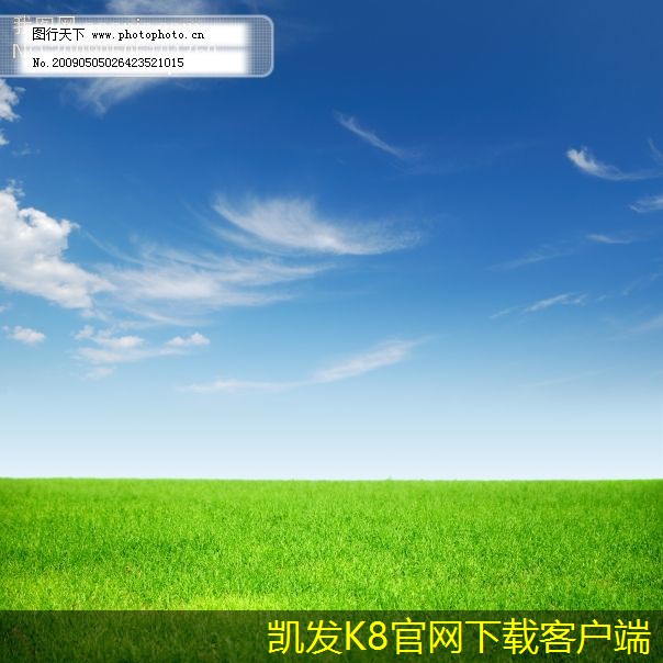 對比不同視頻會議平臺的功能