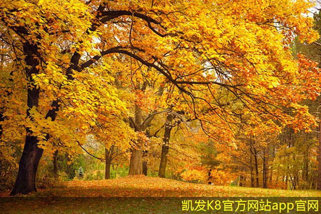 建立智能門(mén)禁考勤體系的步驟