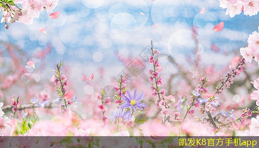 影響無(wú)線WIFI速度的因素