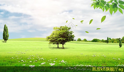 成功視頻會議的關(guān)鍵因素