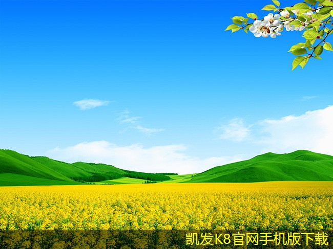 打造完美婚禮的背景音樂清單