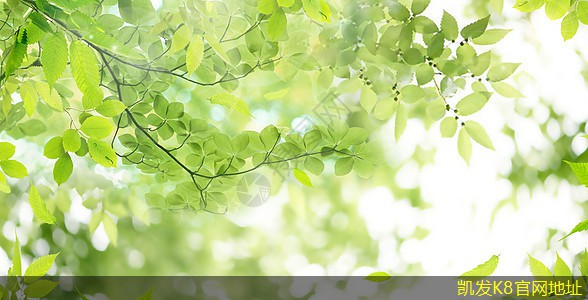 探索背景音樂(lè)的多種表達(dá)方式