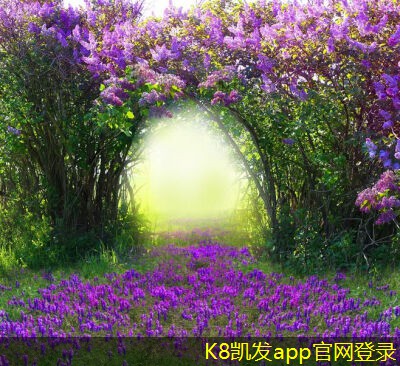 提高機房建設(shè)效率的工具和方法