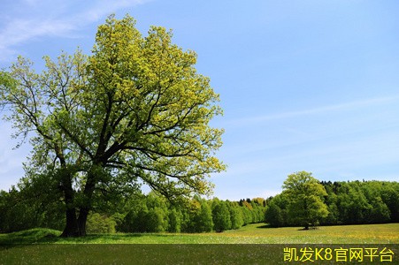 無(wú)線(xiàn)WIFI信號(hào)增強(qiáng)器的使用技巧