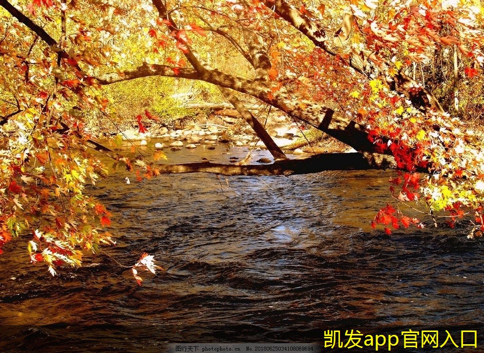無線WIFI網(wǎng)絡(luò)的法律與倫理問題