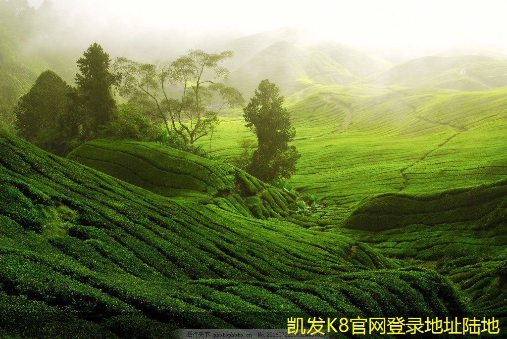 無線WIFI頻段選擇的注意事項(xiàng)