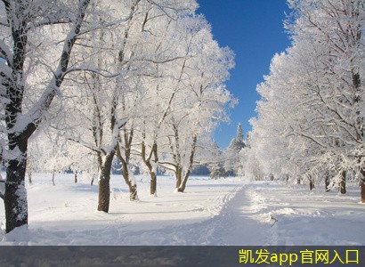 無線安防監(jiān)控技術的優(yōu)勢與挑戰(zhàn)