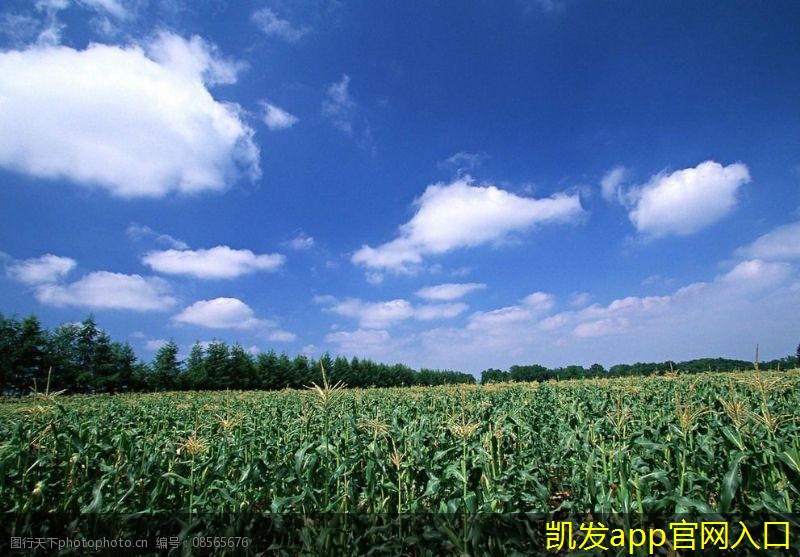 未來(lái)紅外報(bào)警技術(shù)的趨勢(shì)分析