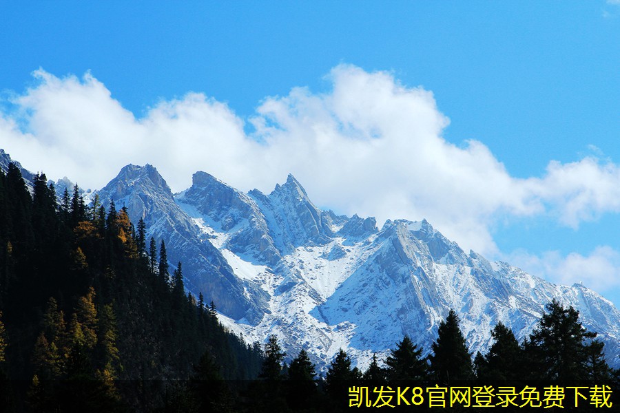 未來(lái)紅外報(bào)警技術(shù)的趨勢(shì)分析