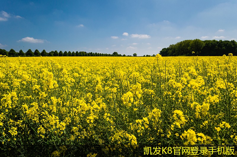 未來門禁考勤的智能化發(fā)展方向