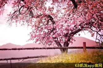 機(jī)房建設(shè)與容災(zāi)恢復(fù)的關(guān)系