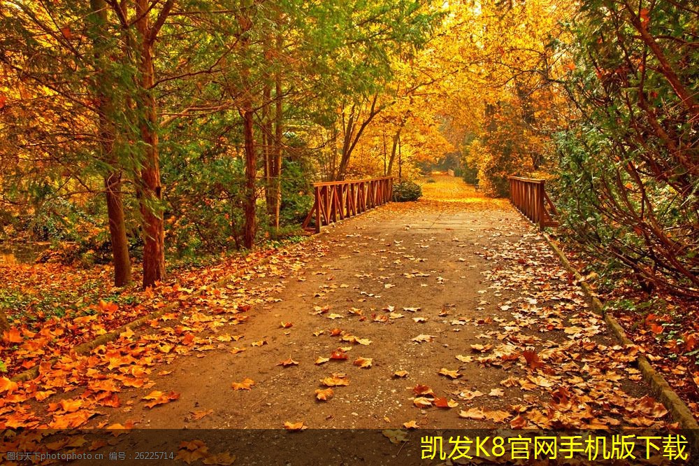 機房建設(shè)中電力供應(yīng)的可靠性分析