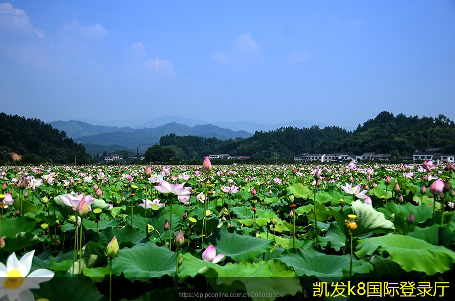 機(jī)房建設(shè)中的冷通道和熱通道設(shè)計(jì)