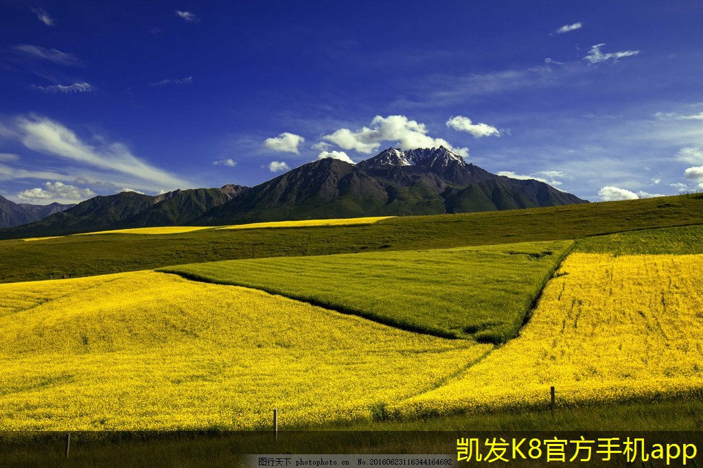 機房建設中的常見誤區(qū)與解決策略