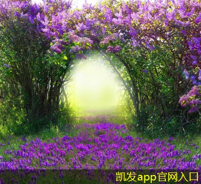機(jī)房建設(shè)中的用戶需求調(diào)研