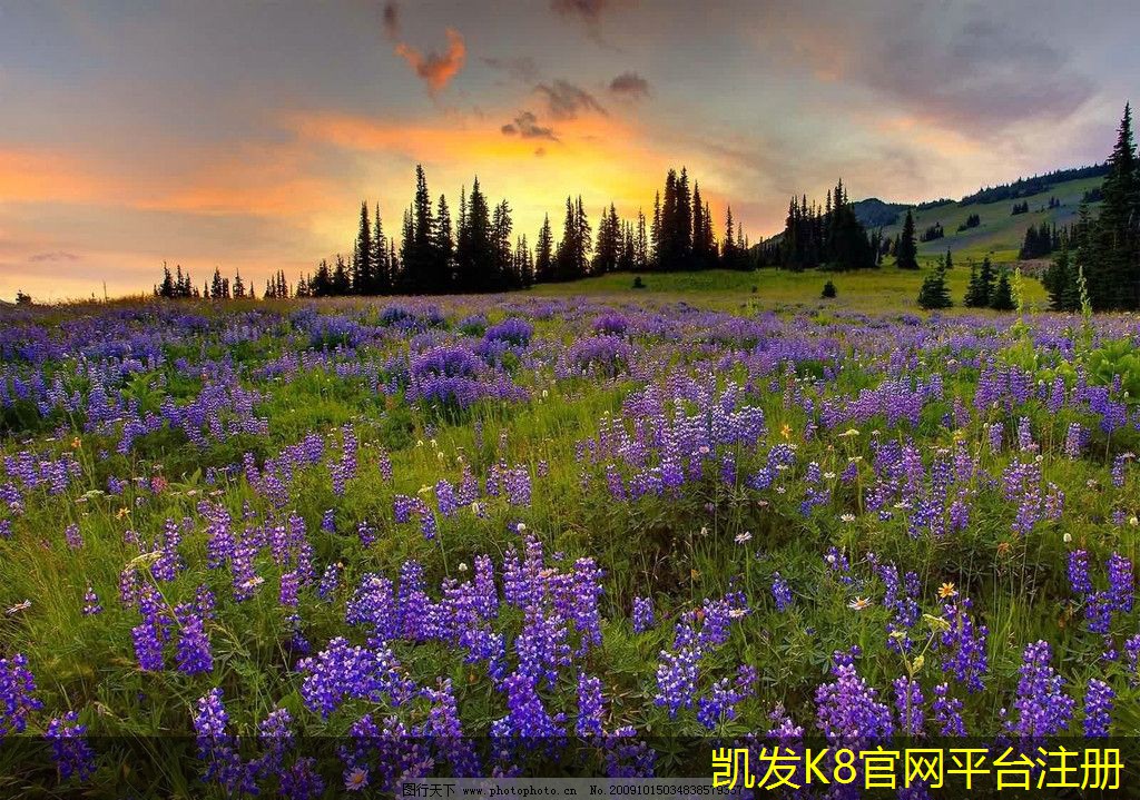 機(jī)房建設(shè)中的監(jiān)控系統(tǒng)應(yīng)用