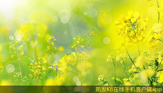 機(jī)房建設(shè)中的節(jié)能減排措施