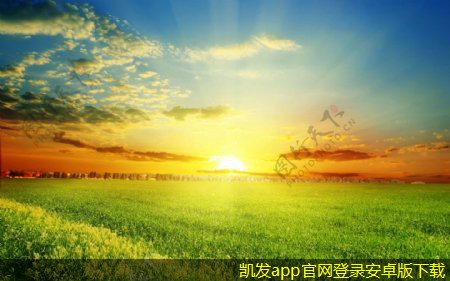 機房建設團隊的角色與分工