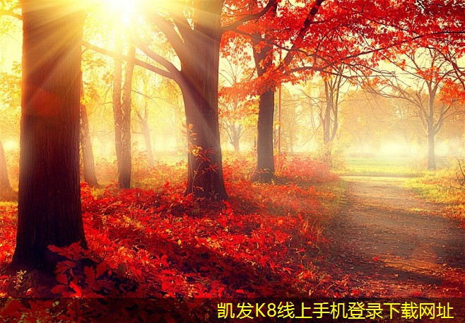 機(jī)房建設(shè)的不同類型與特點(diǎn)