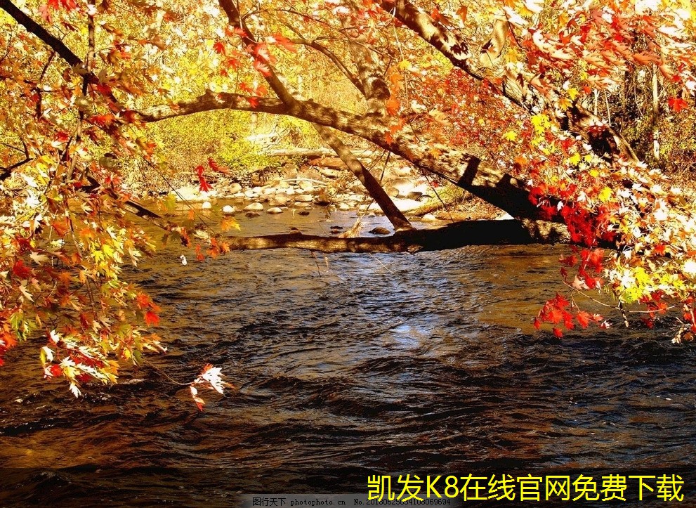 機(jī)房建設(shè)的市場(chǎng)需求分析