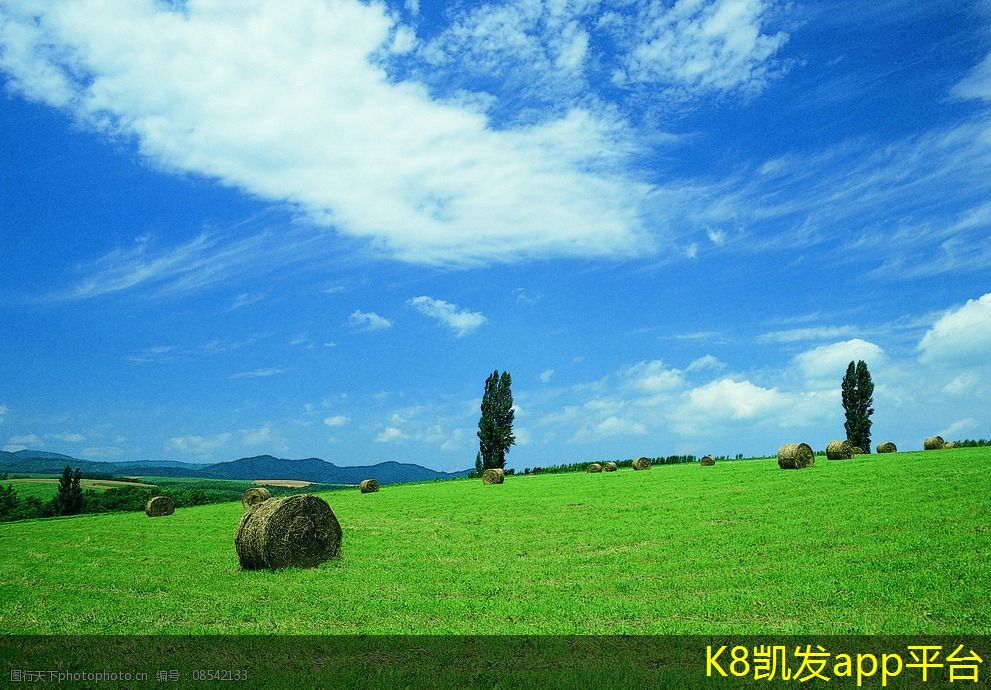 機(jī)房建設(shè)的效率提升方法