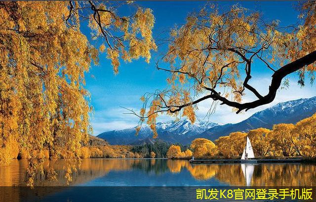 機房建設的項目生命周期管理