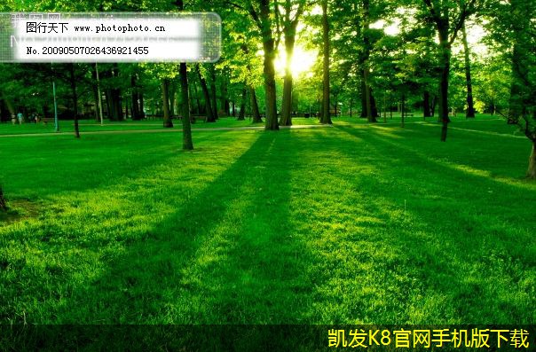 機(jī)房建設(shè)過(guò)程中的設(shè)備布局策略
