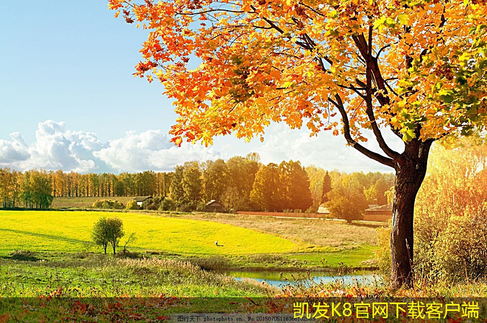 紅外報(bào)警與熱釋電傳感器的關(guān)系