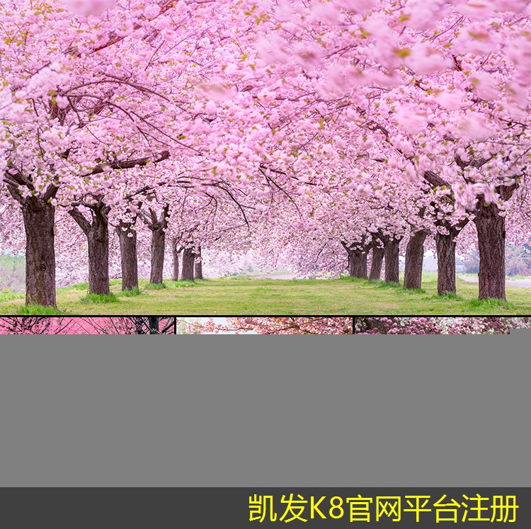 紅外報警與視頻監(jiān)控的結合使用