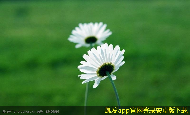 紅外報警器的安裝高度影響因素