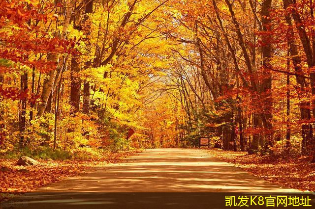 紅外報(bào)警器的電源管理技巧