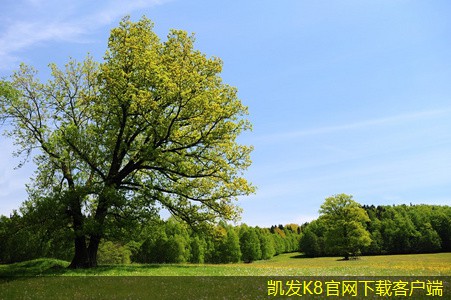 紅外報警在倉庫管理中的應用