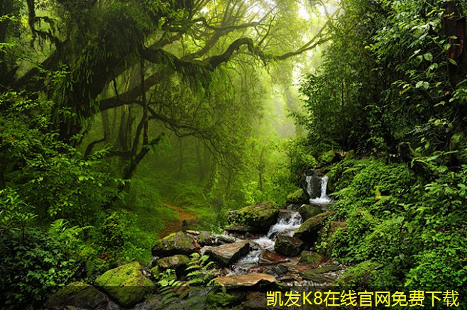 紅外報警在保護隱私方面的優(yōu)勢