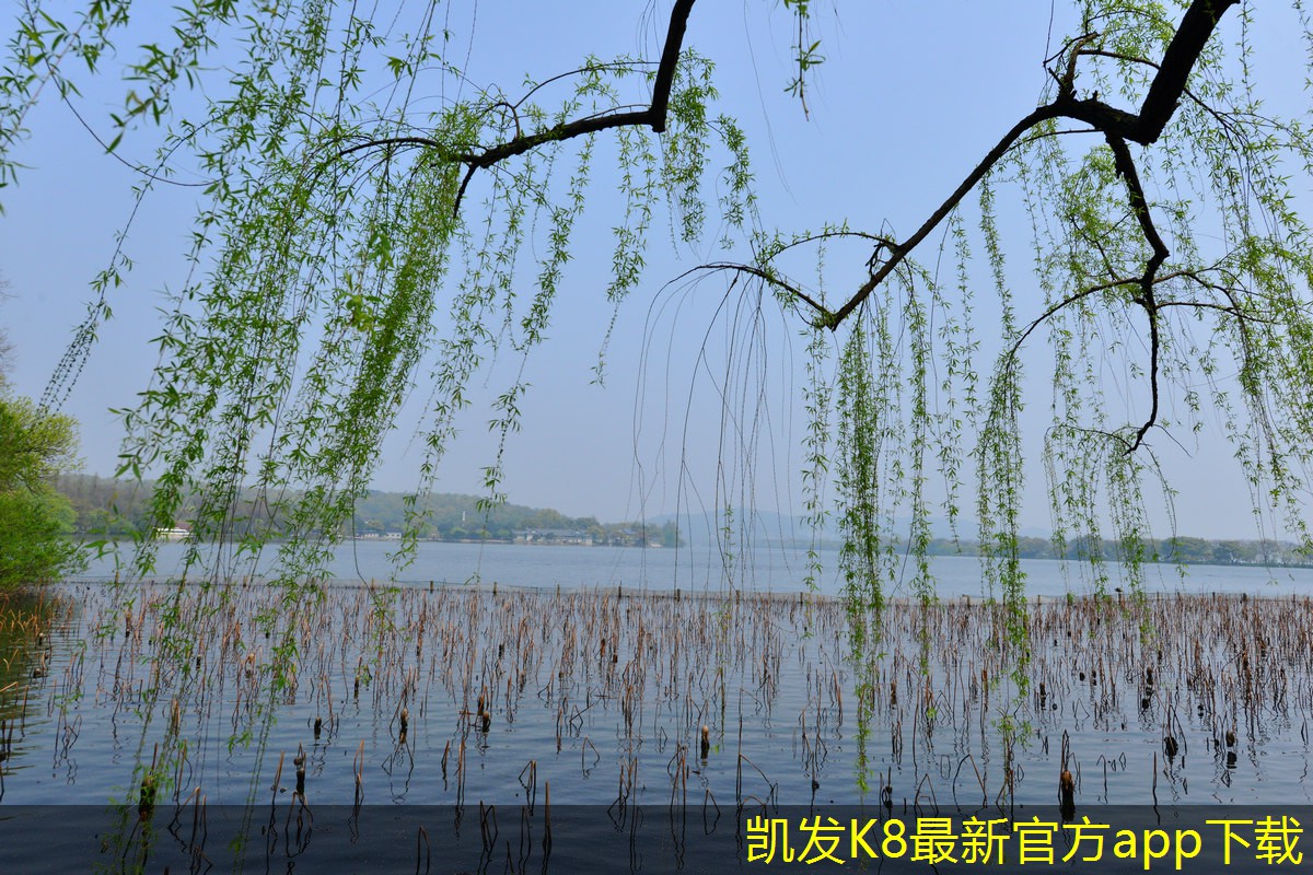 紅外報警在運(yùn)輸安全中的角色