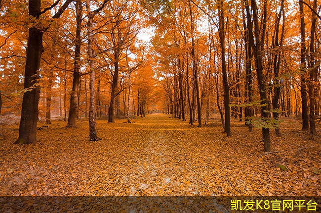 紅外報警在高危行業(yè)的應(yīng)用案例