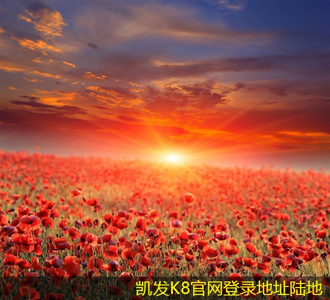 紅外報(bào)警技術(shù)與人工智能的結(jié)合