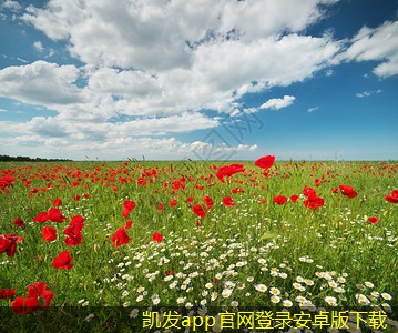 紅外報(bào)警的國(guó)際市場(chǎng)發(fā)展現(xiàn)狀