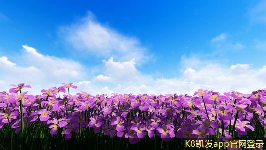 紅外報警的市場需求分析