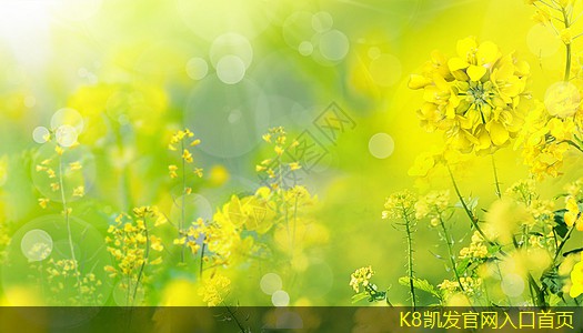 紅外報警的有效性與局限性