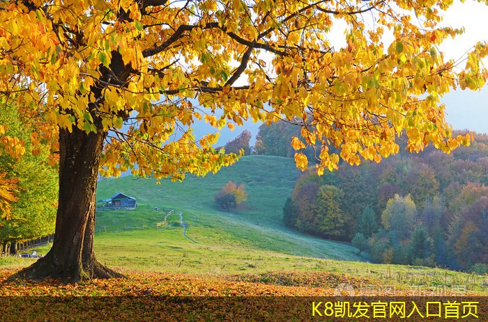 紅外報警的靈敏度設置方法