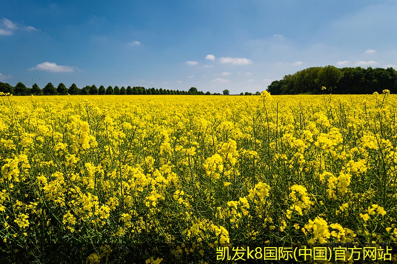 紅外報(bào)警的隱私保護(hù)措施