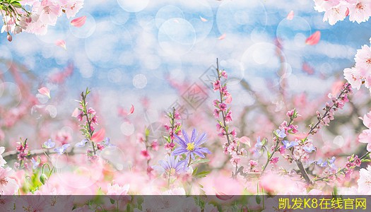 紅外報警系統(tǒng)與監(jiān)控攝像頭的結合