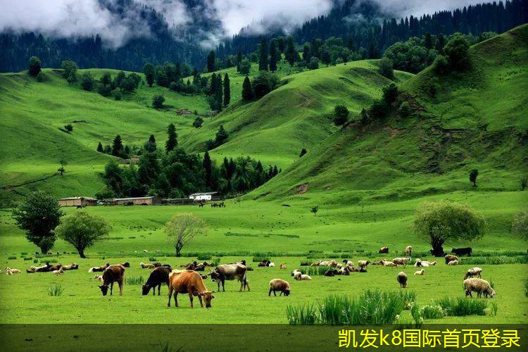 紅外報(bào)警系統(tǒng)的隱私保護(hù)問題