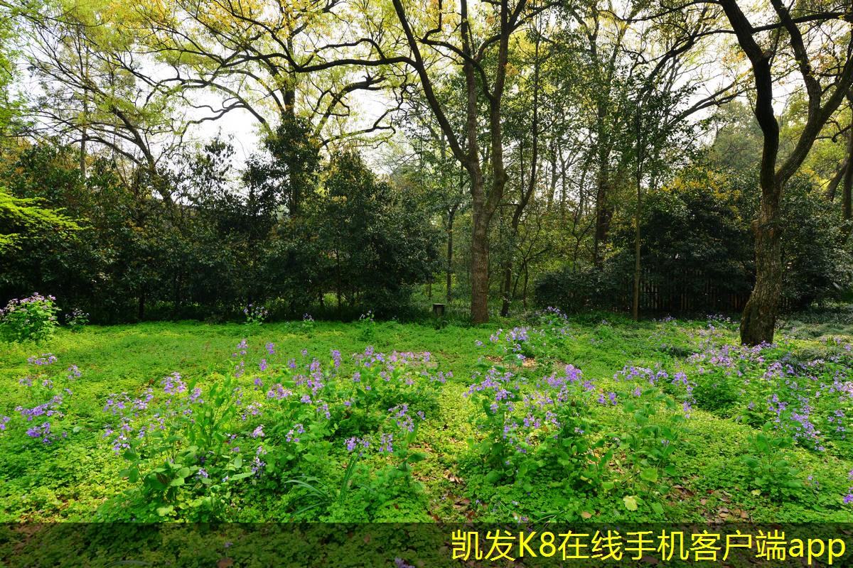 綠色機房建設(shè)的趨勢與挑戰(zhàn)