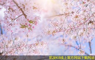 網(wǎng)絡布線中信號干擾的解決方法