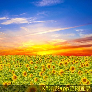 網(wǎng)絡(luò)布線的安全性與防護(hù)措施