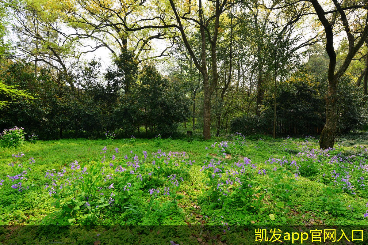 網(wǎng)絡(luò)布線的安全隱患及應(yīng)對措施